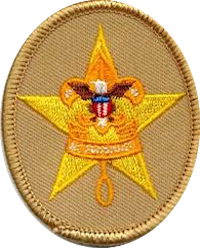 star scout