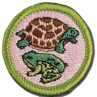 Reptile_and_Amphibian_Study